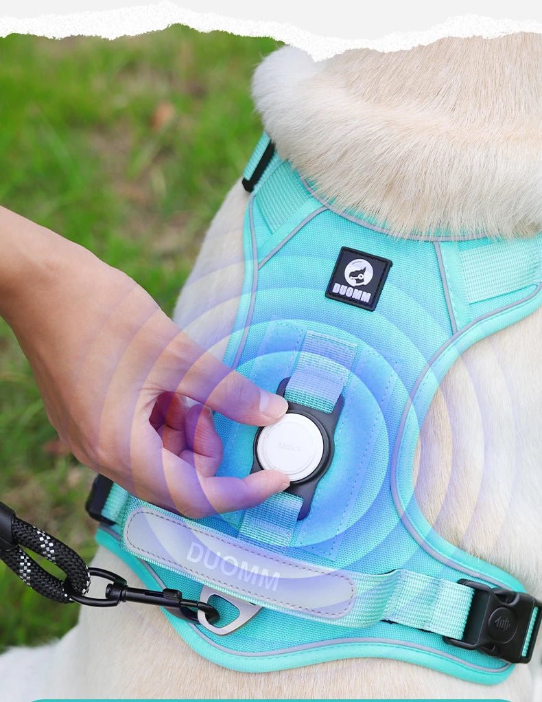 No - Pull Dog Harness – Control, Comfort & Safety on Every Walk - BeyoutifulSpot®